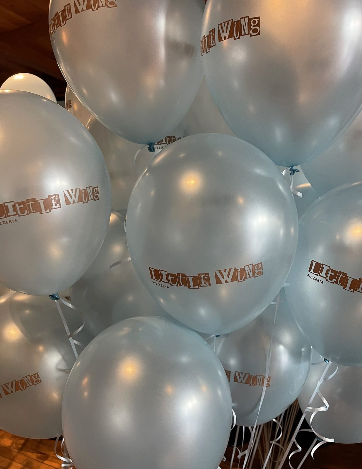 Little Wing printed balloons